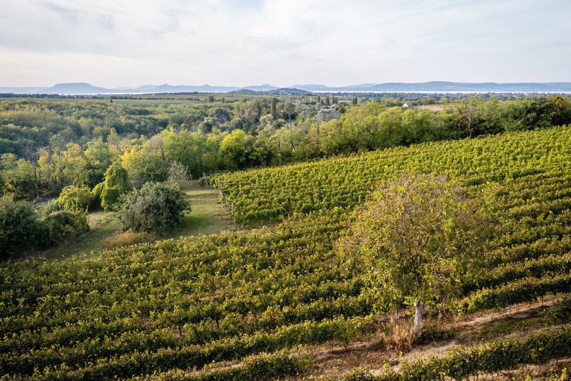 pocz_pincezet_kilatas